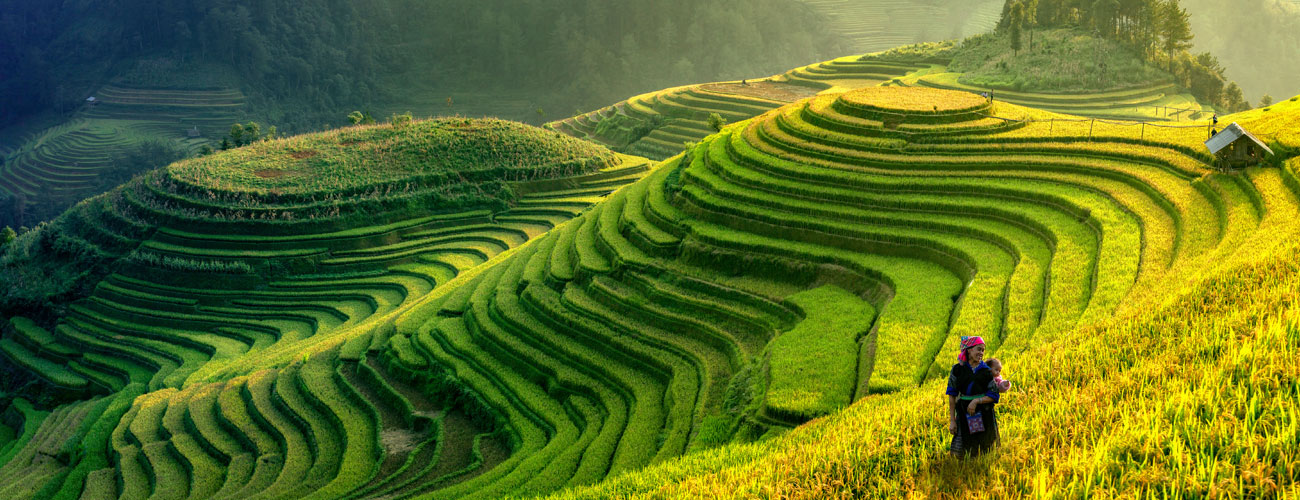 Vietnam prohibirá los vapeos a partir de 2025